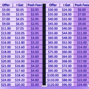 Please consider Seller's Fees when making an offer Poshmark Fees charged